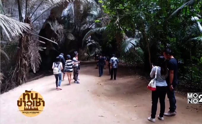 หยุดยาวเที่ยวหุบป่าตาด ป่ายุคดึกดำบรรพ์
