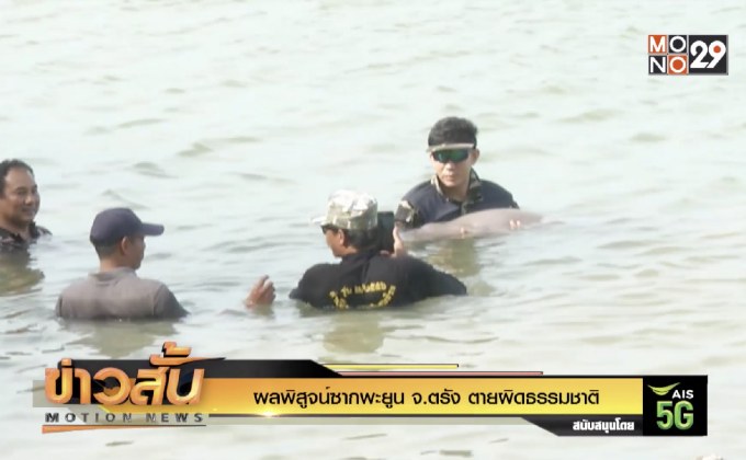 ผลพิสูจน์ซากพะยูน จ.ตรัง ตายผิดธรรมชาติ