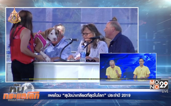 เผยโฉม “สุนัขน่าเกลียดที่สุดในโลก” ประจำปี 2019