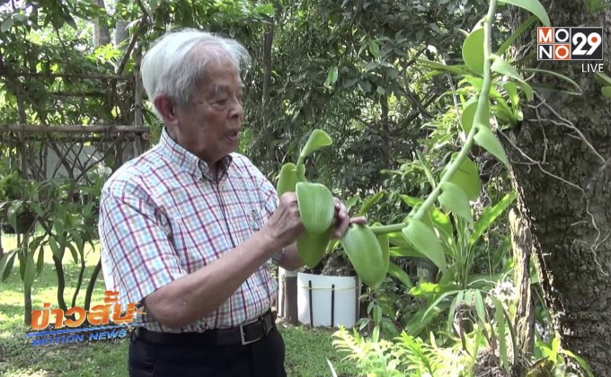 “ศ.ระพี สาคริก” บิดาแห่งกล้วยไม้ไทย ถึงแก่อนิจกรรม
