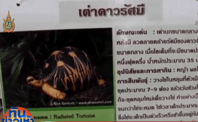 ตร.ยังไม่พบมือขโมยเต่ามาดากัสการ์