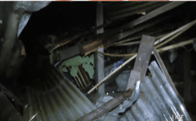 พายุถล่มต้นสักล้มทับบ้าน จ.พิจิตร