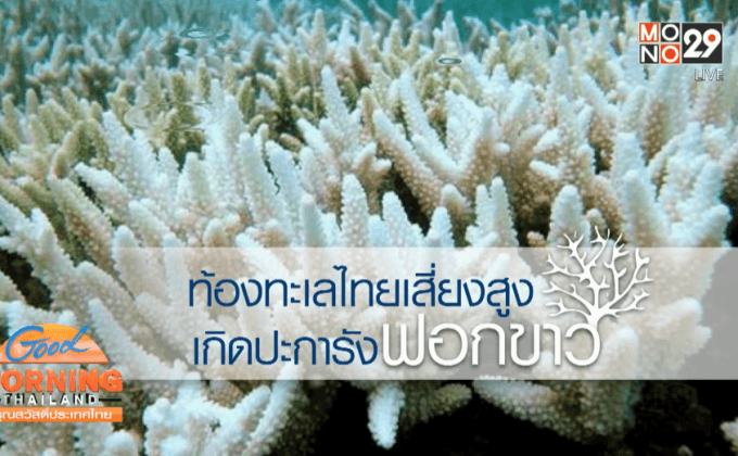 ท้องทะเลไทย เสี่ยงสูง การเกิดปะการังฟอกขาว