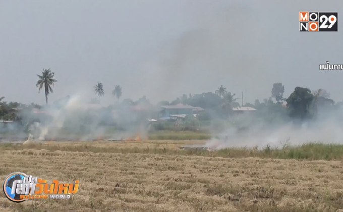 คาด PM2.5 กระทบเศรษฐกิจ 700-800 ล้านบาท