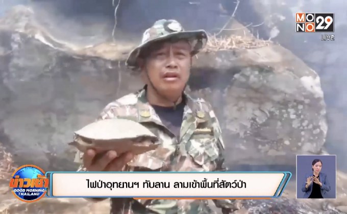 ไฟป่าอุทยานฯ ทับลาน ลามเข้าพื้นที่สัตว์ป่า