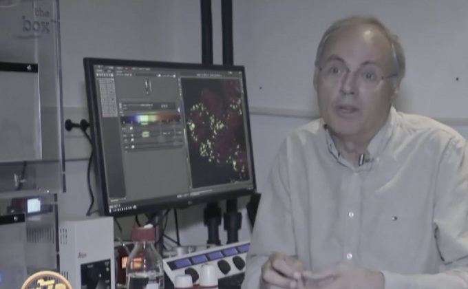 แพทย์สร้าง “อวัยวะจิ๋ว” ทดสอบรักษาโรค