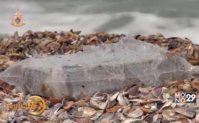 ​พบโคเคนกว่า 150 กิโลกรัม ซัดขึ้นฝั่งโรมาเนีย