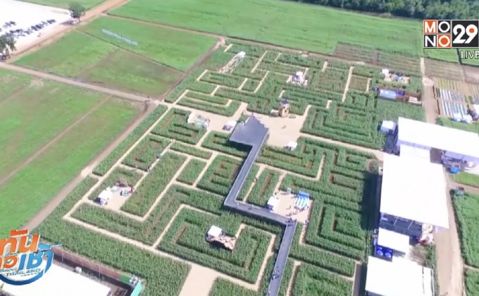 เที่ยวเขาวงกตทุ่งข้าวโพด เรียนรู้วิถีเกษตร