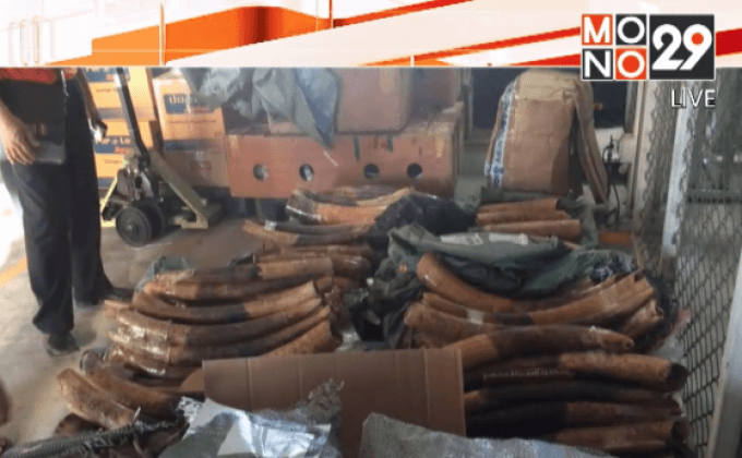 ยึดงาช้างและเกล็ดตัวนิ่มมูลค่า 80 ล้านบาท