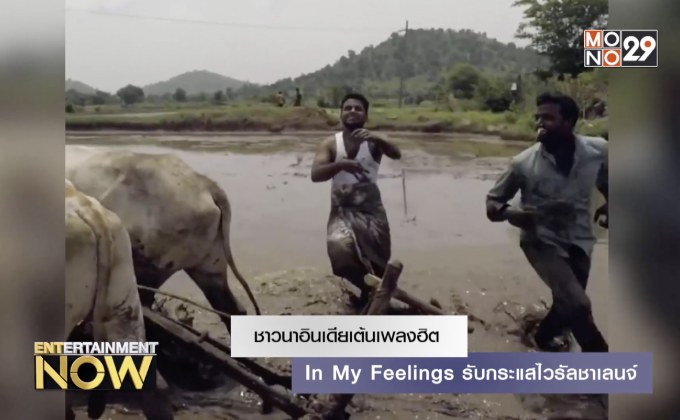 ชาวนาอินเดียเต้นเพลงฮิต In My Feelings รับกระแสไวรัลชาเลนจ์