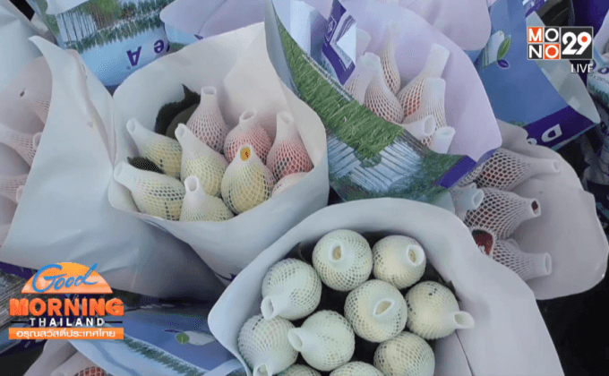 เชียงใหม่ตุนกุหลาบกว่าแสนดอก ขายวาเลนไทน์ 