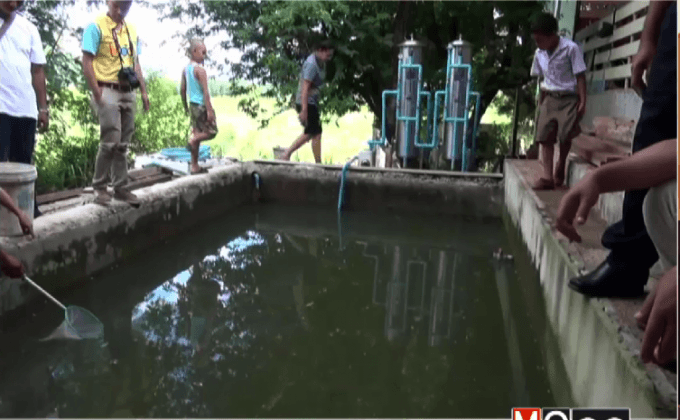 พบแมงกะพรุนในบ่อผลิตประปา จ.กาญจนบุรี