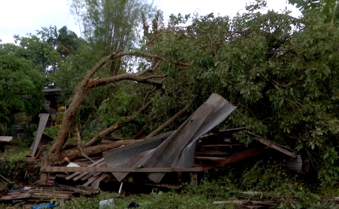พายุพัดต้นไม้ล้มทับชาวบ้านเสียชีวิต จ.เชียงใหม่