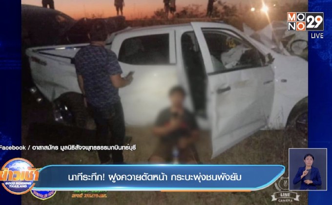 นาทีระทึก! ฝูงควายตัดหน้า กระบะพุ่งชนพังยับ