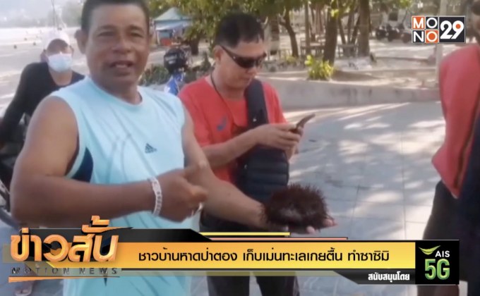 ชาวบ้านหาดป่าตอง เก็บเม่นทะเลเกยตื้น ทำซาซิมิ