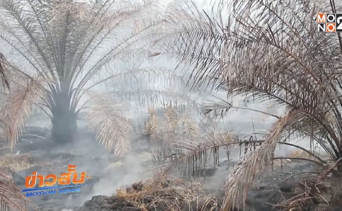 ไฟไหม้สวนปาล์มฯ 30 ไร่ ในป่าพรุบาเจาะ คลี่คลาย