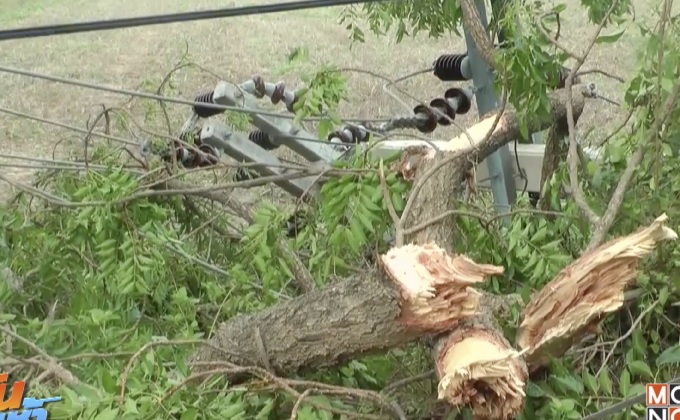 พายุฤดูร้อนถล่มพิจิตร พัดบ้านพังเสียหายกว่า 100 หลัง