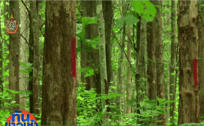 นายกฯ สั่งคืนสวนป่าแม่หอพระให้เป็นป่าสงวน