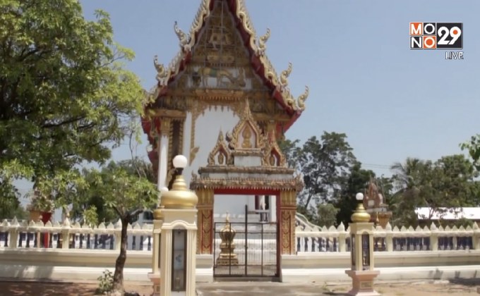 วัดเมืองโคราชติดป้ายห้ามนกพิราบเกาะหลังคากุฏิ