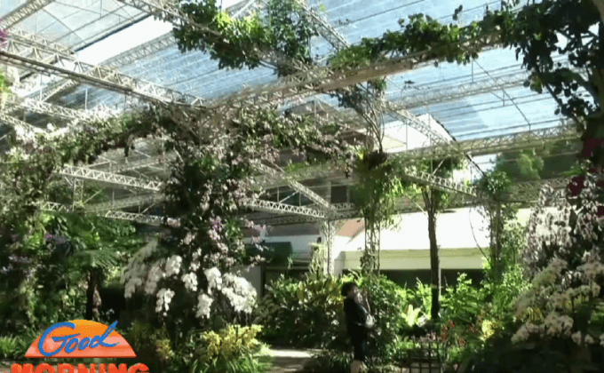 นักท่องเที่ยวชมกล้วยไม้หายากกว่า 500 ชนิด