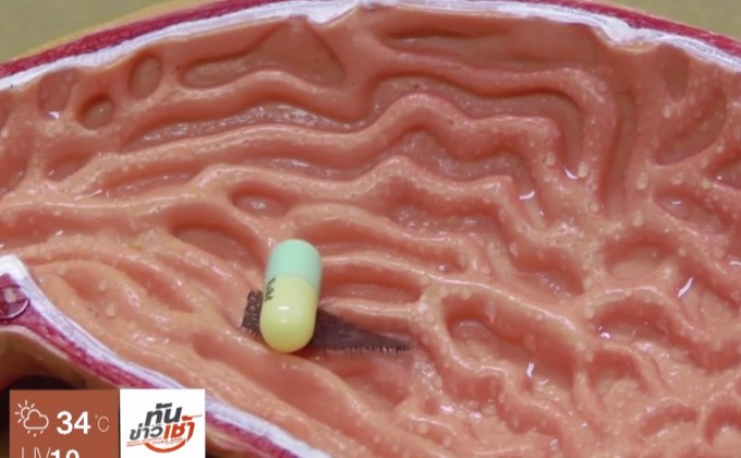 ​นักวิจัยฮ่องกงพัฒนาหุ่นยนต์จิ๋วเพื่อลำเลียงยาในร่างกาย