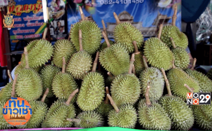 ยลถิ่นทุเรียนหลง-หลินเมืองลับแล