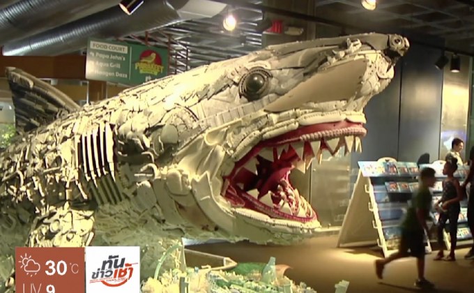 ศิลปะจากขยะพลาสติกในทะเล