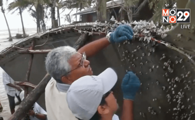 มาเลเซีย-ไทย ร่วมตรวจสอบซากเครื่องบิน