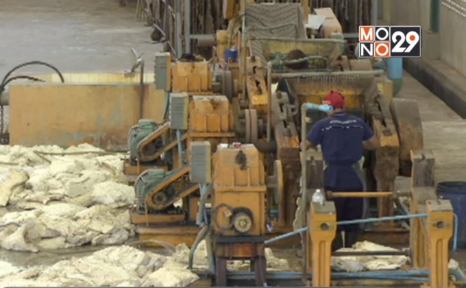 เร่งรัดมาตรการเยียวยาหลังแบนสารเคมี