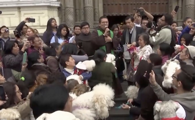 พิธีให้พรสัตว์เลี้ยงในเปรู