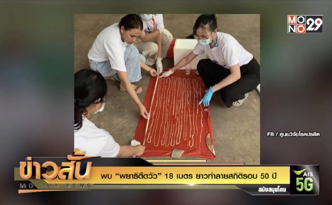 พบ “พยาธิตืดวัว” 18 เมตร ยาวทำลายสถิติรอบ 50 ปี