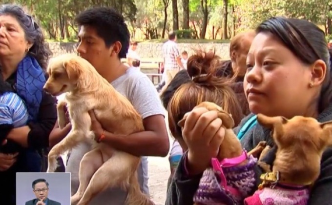 ชาวอิตาลีนำสัตว์เลี้ยงรับพรในวันนักบุญแอนโทนี