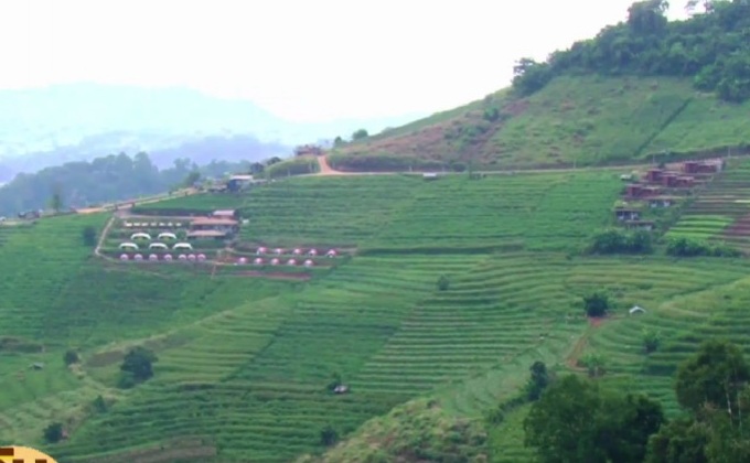 รับลมหนาว-ชมสวนดอกไม้ที่ “ม่อนแจ่ม”