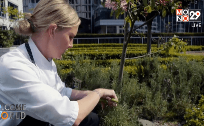 โรงแรมเพื่อสิ่งแวดล้อมในแวนคูเวอร์