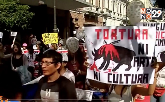 ประท้วงต่อต้านเทศกาลสู้วัวกระทิงในเปรู