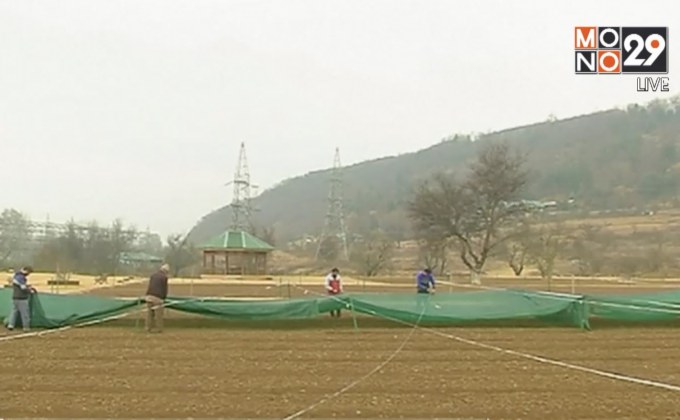 อินเดียขยายพิ้นที่สวนทิวลิปใหญ่ที่สุดในเอเชีย