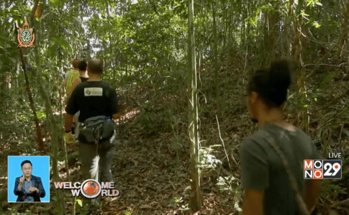 เส้นทางเดินป่าแห่งใหม่ในริโอเดอจาเนโร