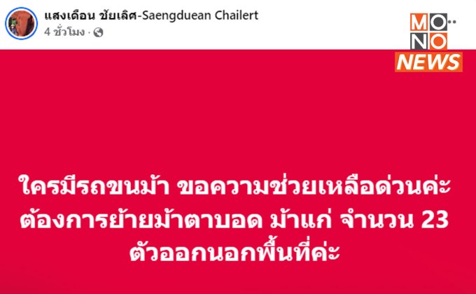 “วิกฤตแม่แตง! ศูนย์บริบาลช้างวอนช่วย ย้าย 23 ม้าตาบอด-แก่ หนีน้ำ”