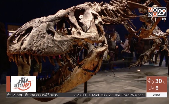 พิพิธภัณฑ์ประวัติศาสตร์ฝรั่งเศสเปิดตัวโครงกระดูกทีเรกซ์