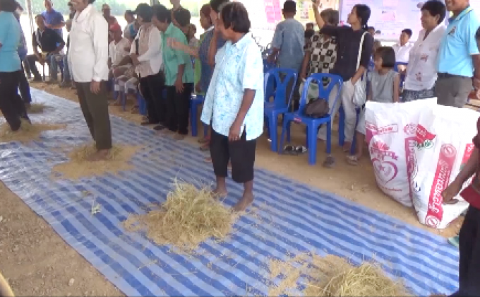 แข่งนวดข้าวลีลา สานภูมิปัญญาชาวนาไทย