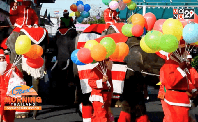 ช้างแต่งซานตาคลอสสร้างสีสันรับคริสต์มาส