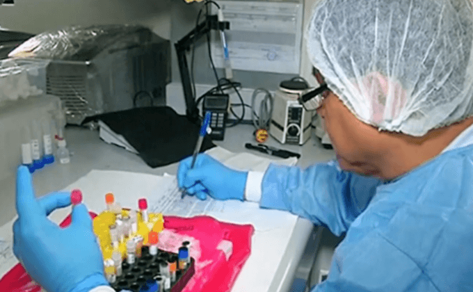 ชาวอเมริกันติดเชื้อไวรัสผ่านทางเพศสัมพันธ์