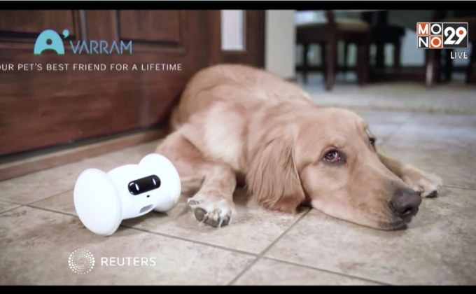 29 LifeSmart : หุ่นยนต์เพื่อนมนุษย์-สัตว์เลี้ยง