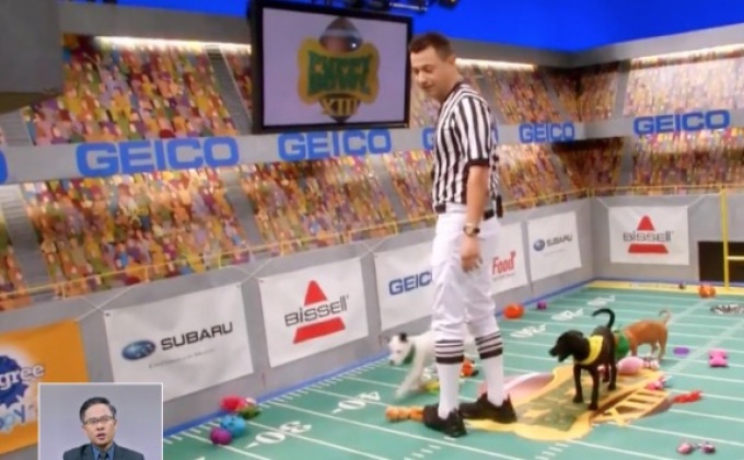 บันทึกเทปการแข่งขัน “ซูเปอร์โบวล์ลูกสุนัข”