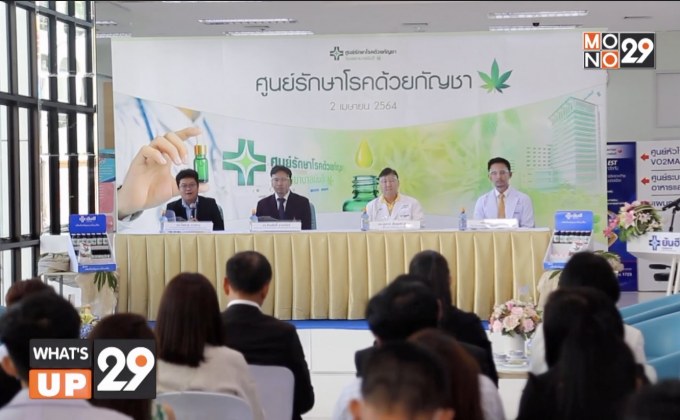 โรงพยาบาลยันฮี เปิดตัวศูนย์การแพทย์ทางเลือก พร้อมให้การรักษาโรคด้วยกัญชา