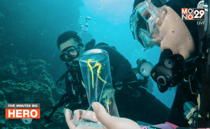 Five minutes Bighero – แน่งน้อย ยศสุนทร HERO ผู้พิทักษ์ทะเลไทย ตอนที่ 3/5
