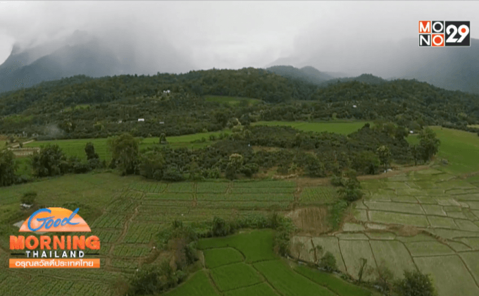 ป่าชุมชน “บ้านหัวทุ่ง” ร่วมอนุรักษ์ป่าอย่างสร้างสรรค์
