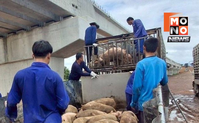 กรมปศุสัตว์เร่งช่วยสัตว์ประสบภัย “วิภา” 8 จังหวัด