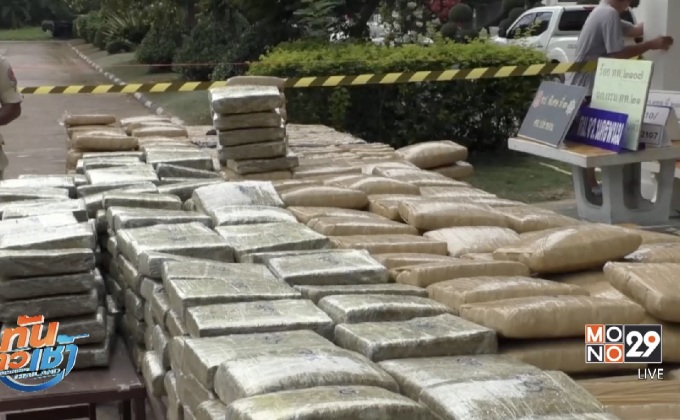 ยึดกัญชาเกือบ 800 กิโลกรัม เตรียมส่งเอเย่นต์รายใหญ่ 