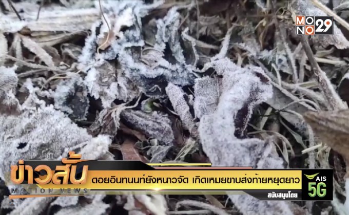 ดอยอินทนนท์ยังหนาวจัด เกิดเหมยขาบส่งท้ายหยุดยาว